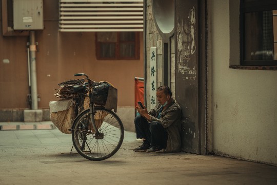 广州购金指南，宠物达人揭秘最佳买金地点